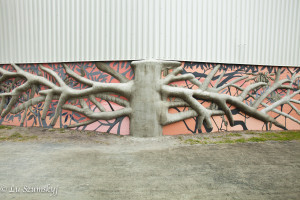 tree center p santoleri