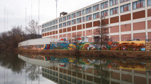 santoleri canal fish:Concrete-Tree